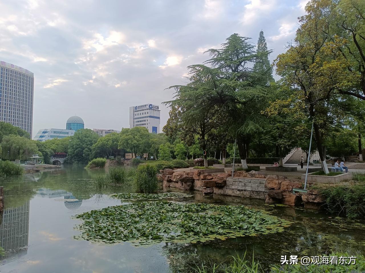 晒图笔记大赛晚饭后半小时是要锻炼的，前一段时间腿伤复发，歇了好久，再不锻炼就说不