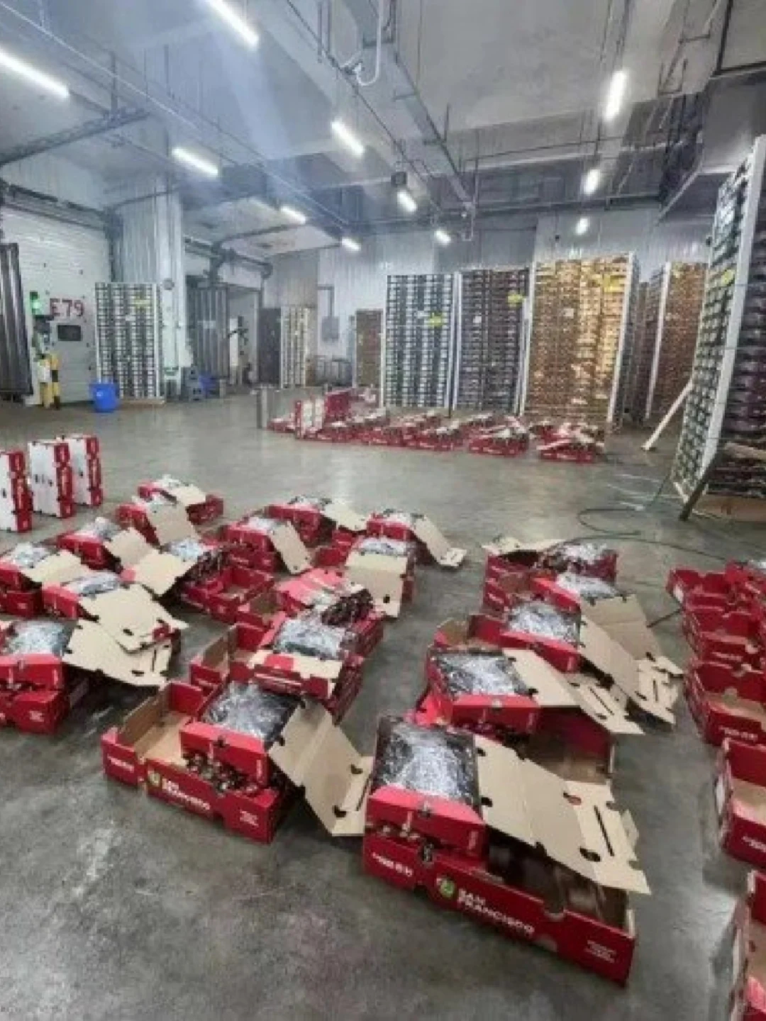 智利车厘子断崖式降价 首批通过空运抵达的智利车厘子顺利降落广州江南果菜批发市场。
