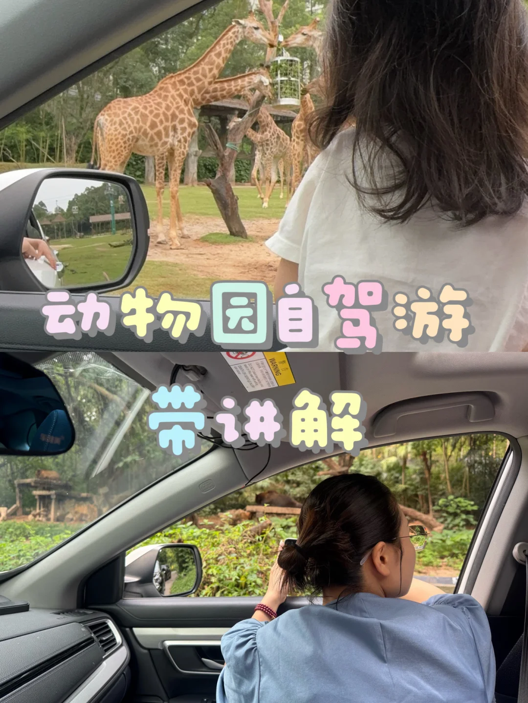 需要自驾游的小姐妹看过来