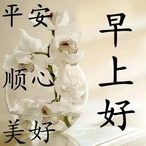 友谊在快乐中留存
问候在幸福中体悟
真情在联系中坚守
安康在笑声中拥有
愿美好与