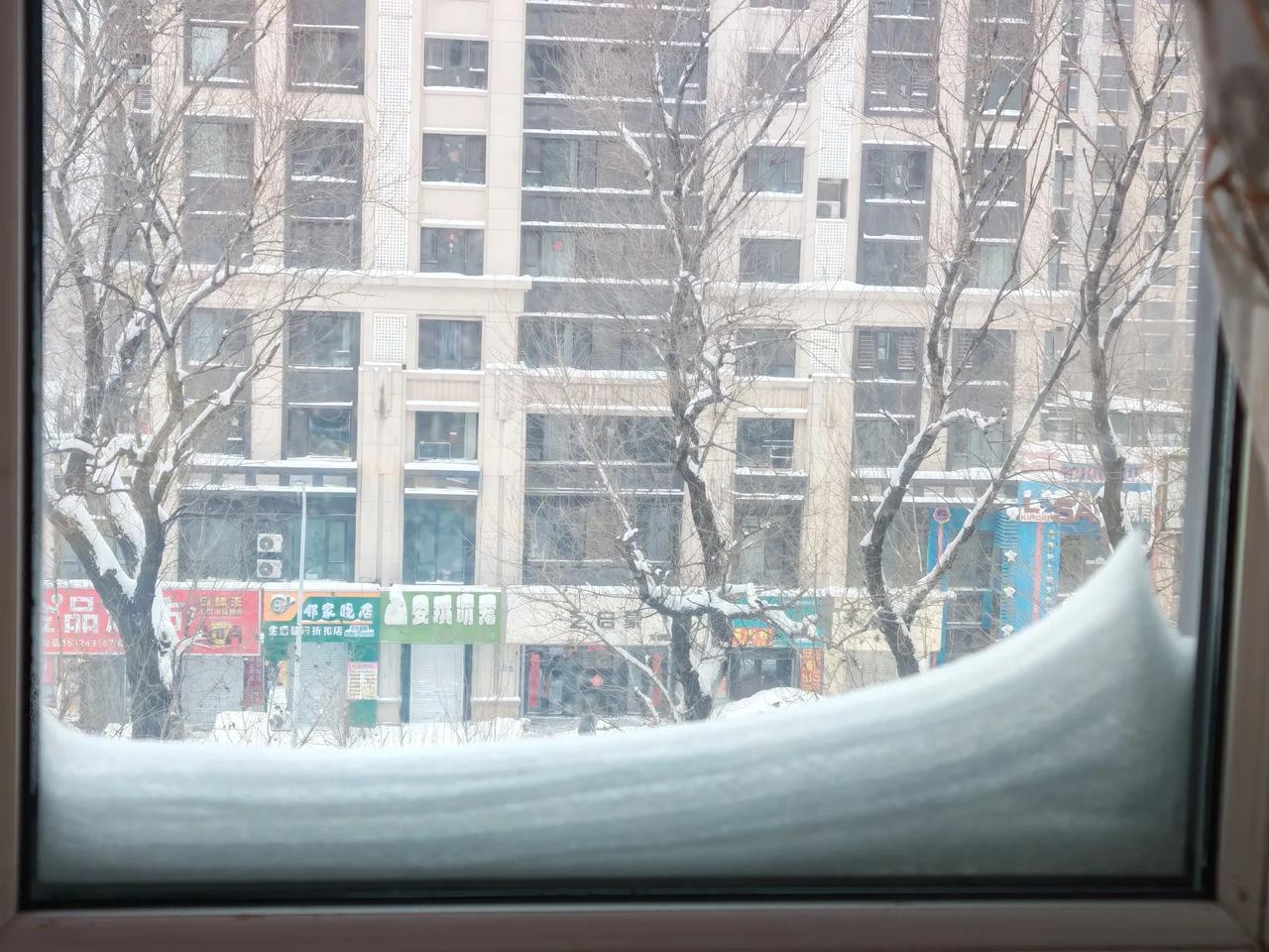 沈阳拜年遇到麻烦了
入冬以来少见雪，沈阳2025的第一场雪就成暴雪，下到了年关的