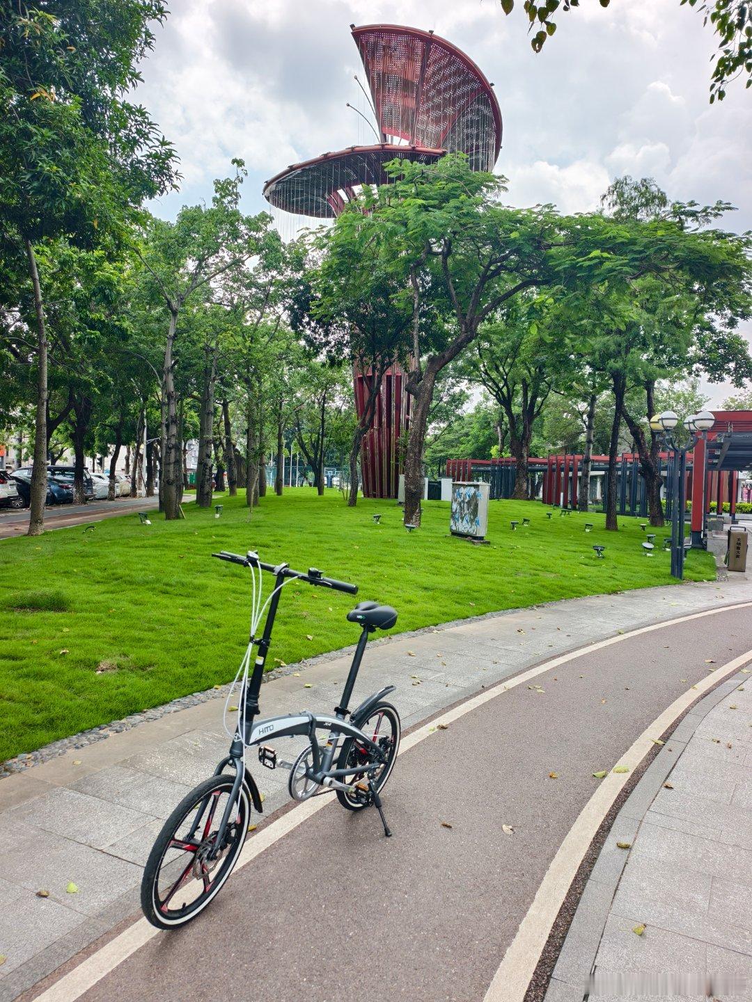 生态中山 中午Citybike之灌木丛改草坪之后的一桥南公园🚲 ​​​，更舒朗