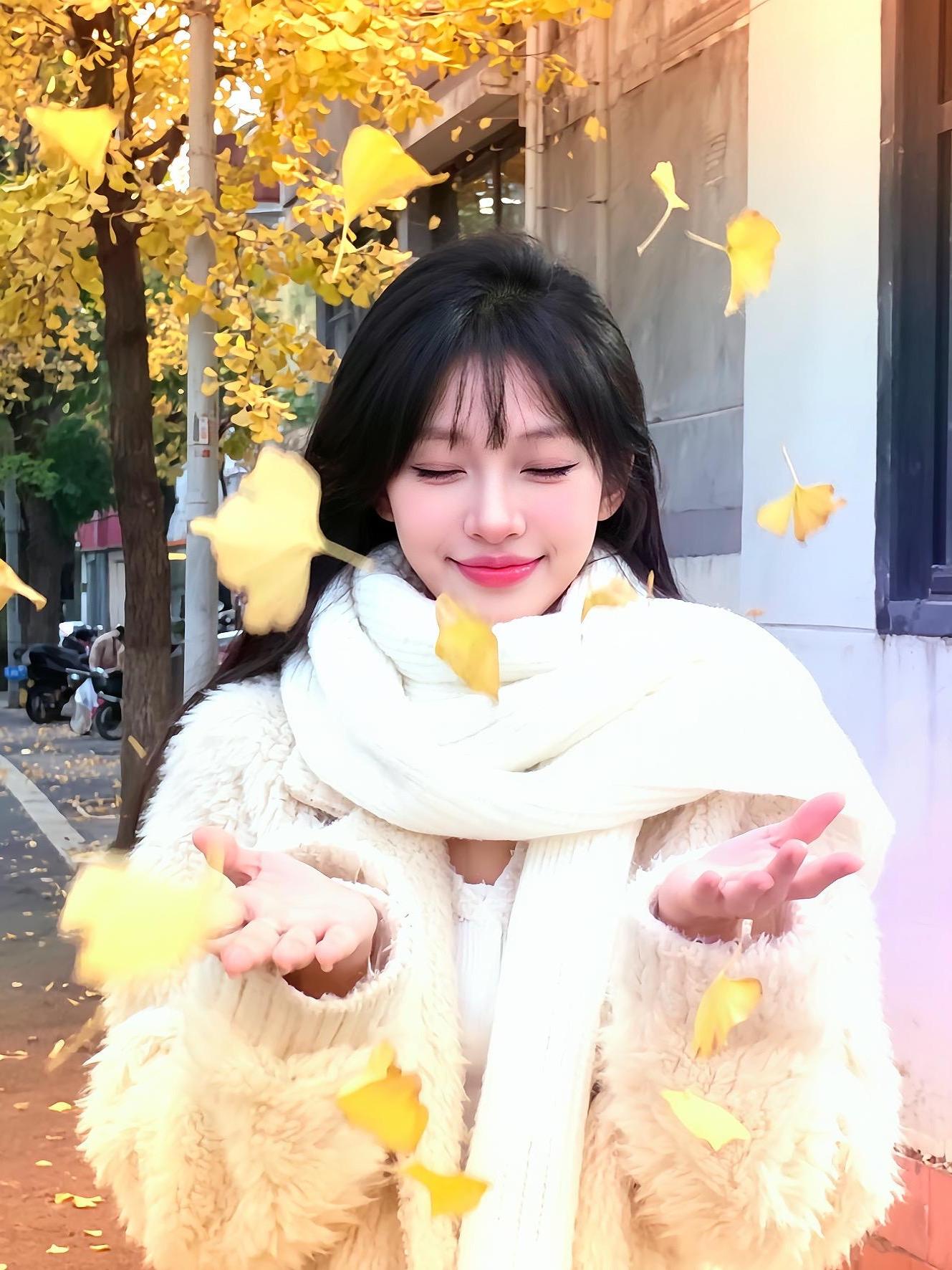 在这个落叶像雪的季节.