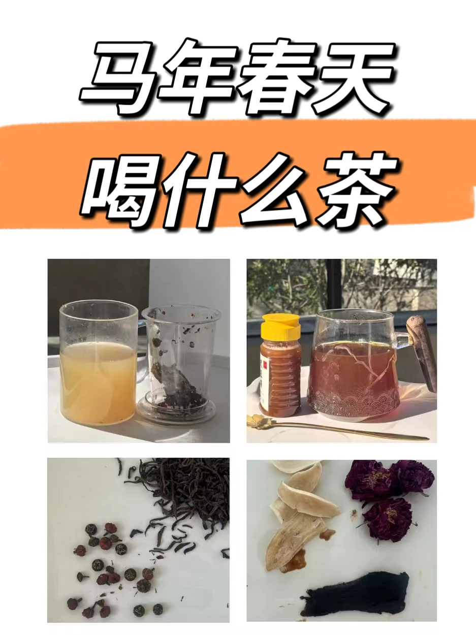 马年雨水，“四春茶”汇总！