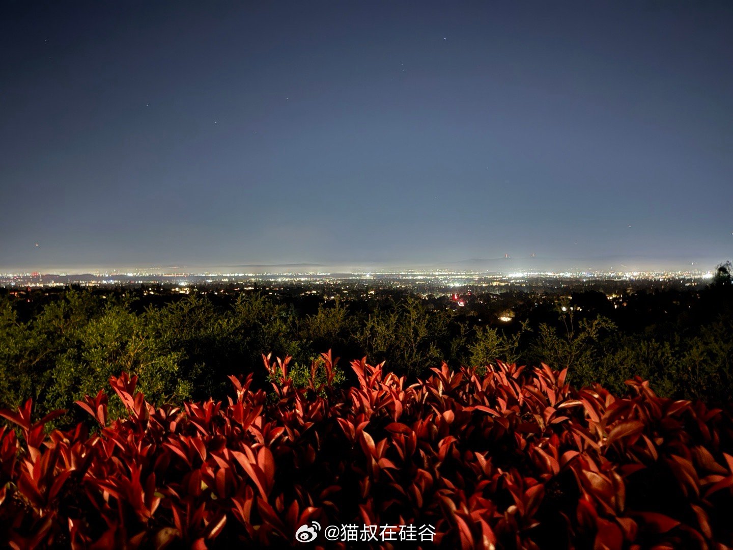 昨晚去中半岛的半山聚会，主人叫了上门烤串服务，地道的中国碳烤羊肉串。馋嘴的伊宝直