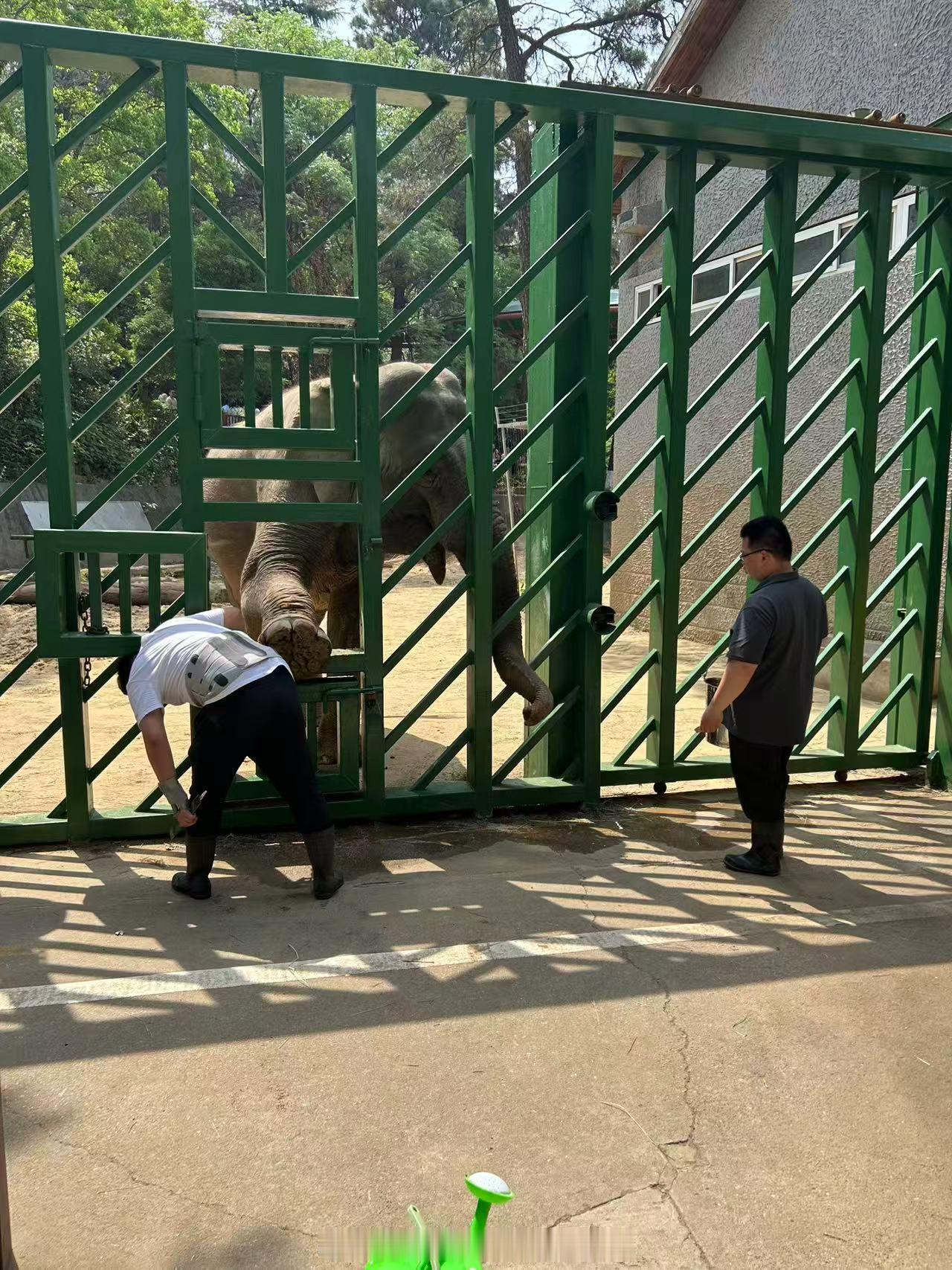红山青年节日快乐！致敬每个努力奋斗的日子！[心]五四青年节 ​​​