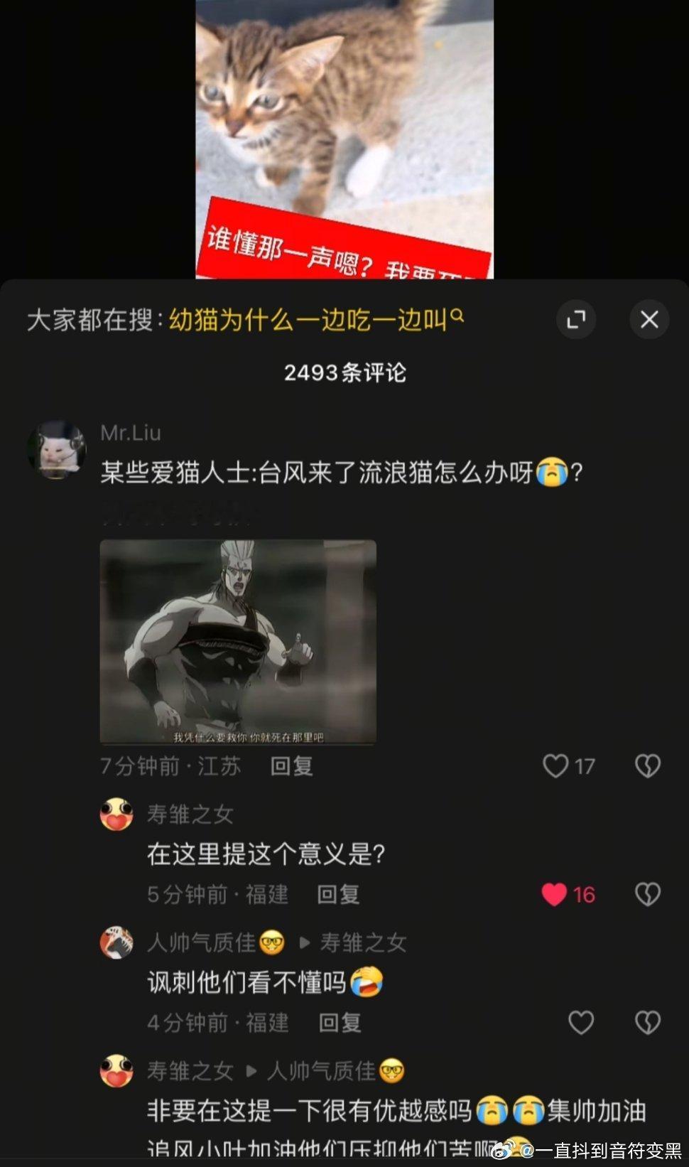 ？原视频就发了个流浪猫吃香肠别的啥也没说 评论区也都是在说小猫很可爱 