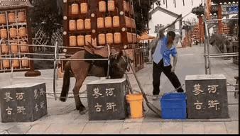 这事儿看得人拳头都硬了！
景区的马一天没拉到客，
马主人居然能把气全撒在马身上，