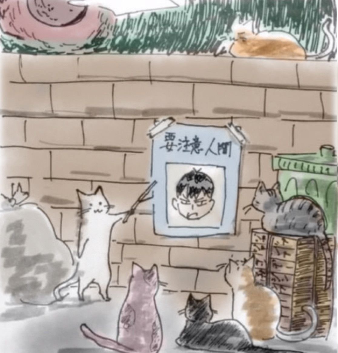 #排球少年# :猫猫们注意！要重点关注这个人类‎|•'-'•)و✧ ​​​