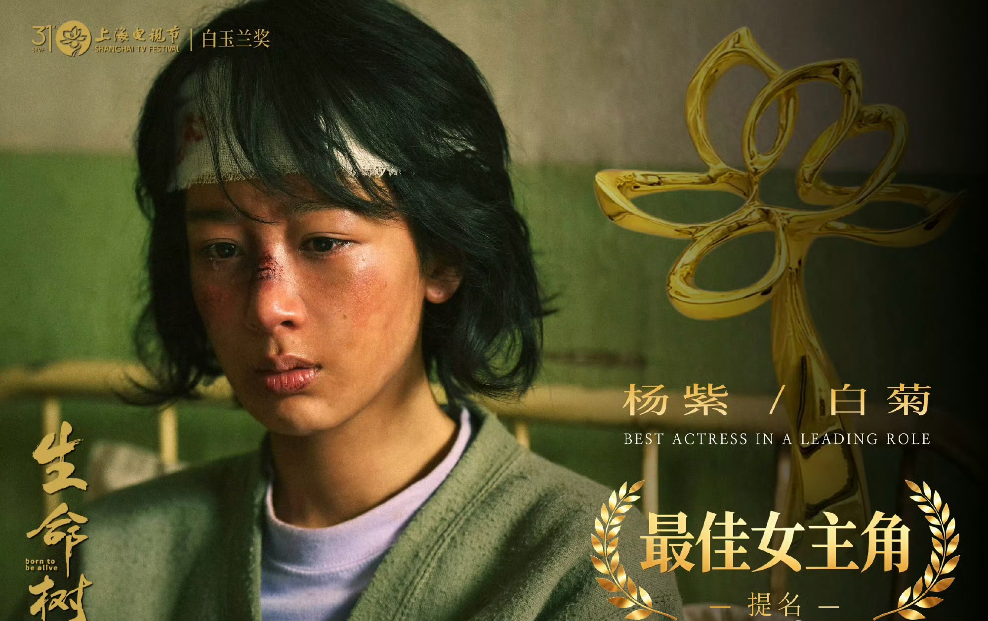 杨紫 这才是伟大的养成系杨紫的演艺之路堪称童星转型范本，作品一路见证演技蜕变。早