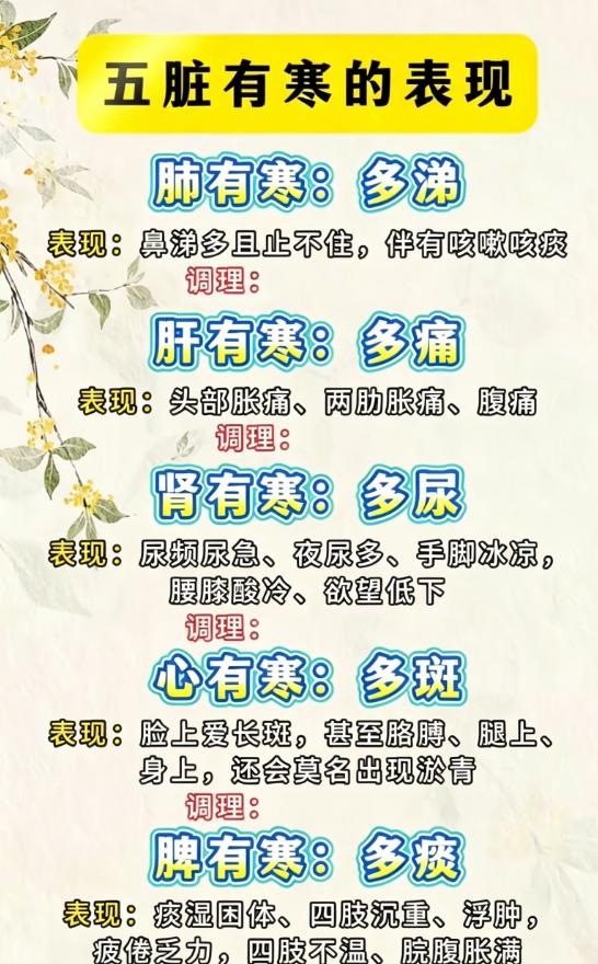 中医科普｜肺肝心脾肾受寒，身体会发出这些提示