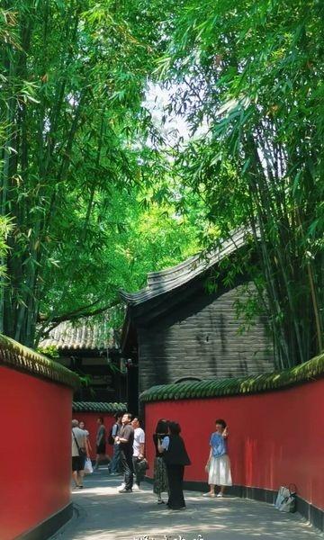 创作者赏金计划竹林创作者服务中心川渝小长假好去处竹林自驾旅