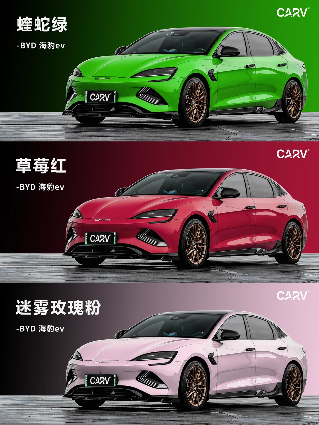 爆肝整理‼️海豹全系硬货外观色