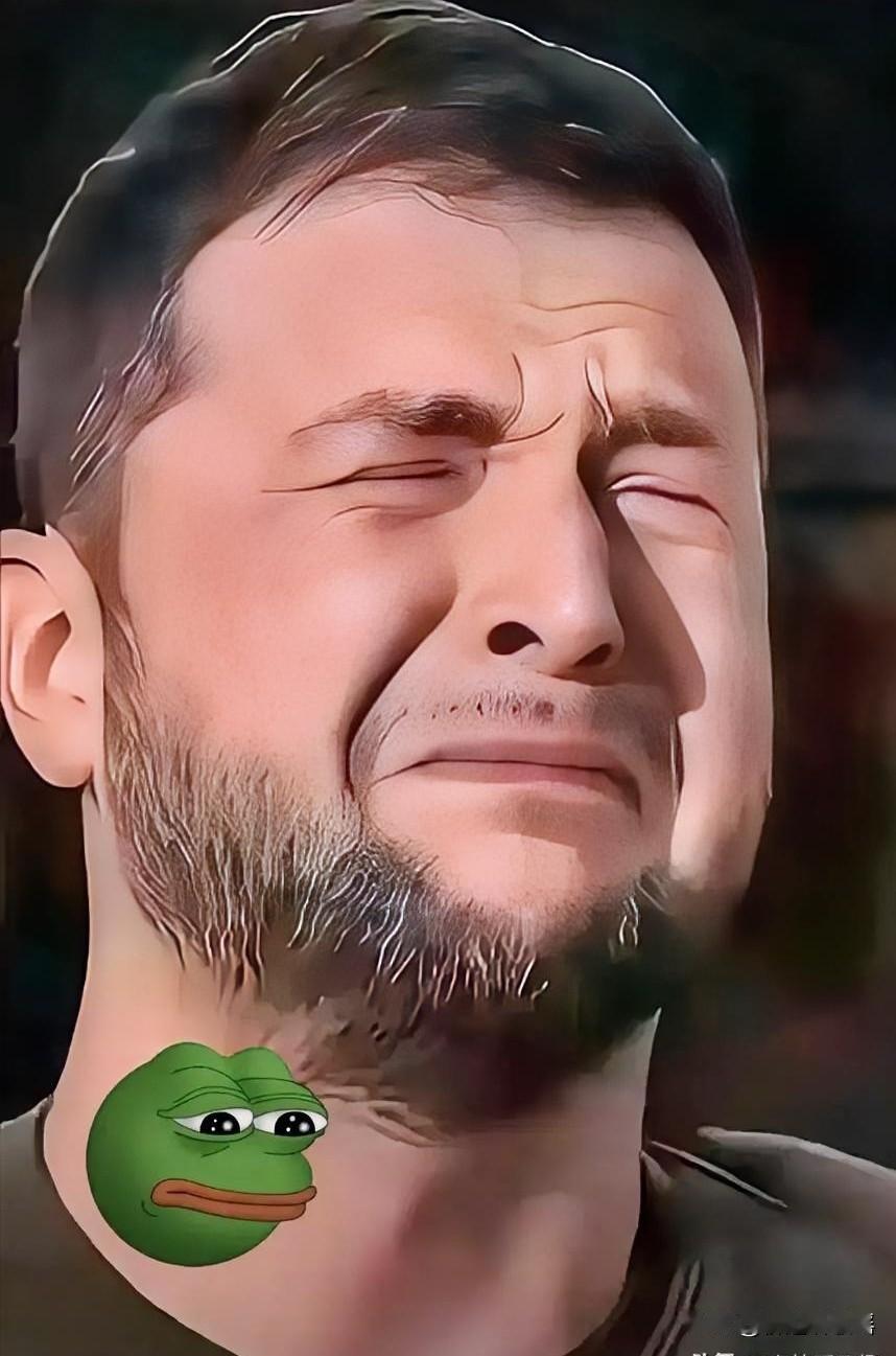 谈判结束，乌克兰公开宣称

当地时间12月25日，泽连斯基公开发文宣称，在当天，