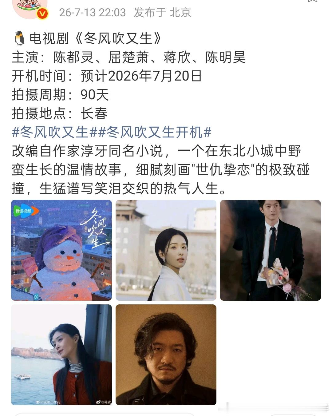 嘟嘟也是好起来了，这个阵容吊打的🍍那部亦舒大ip