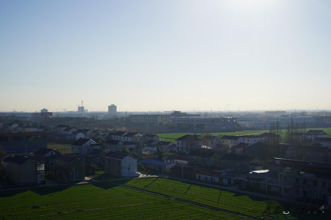事实证明，凡是领导想方设法从博物馆里以“借阅”为名，将国宝级文物据为己有的。博物