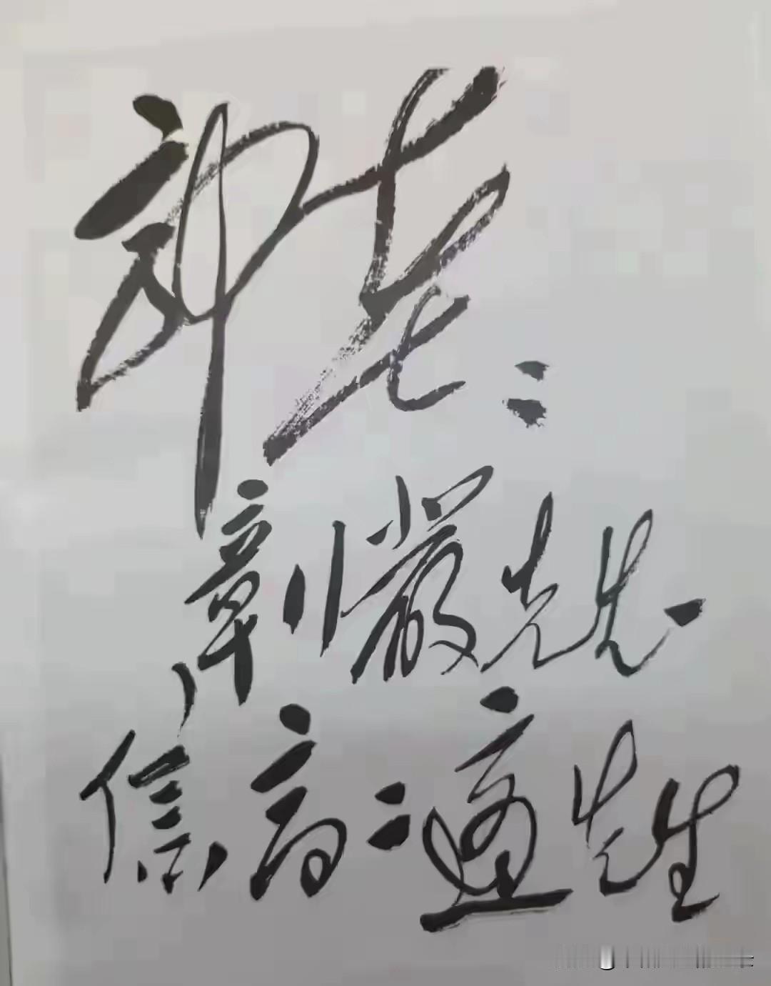 伟人书法