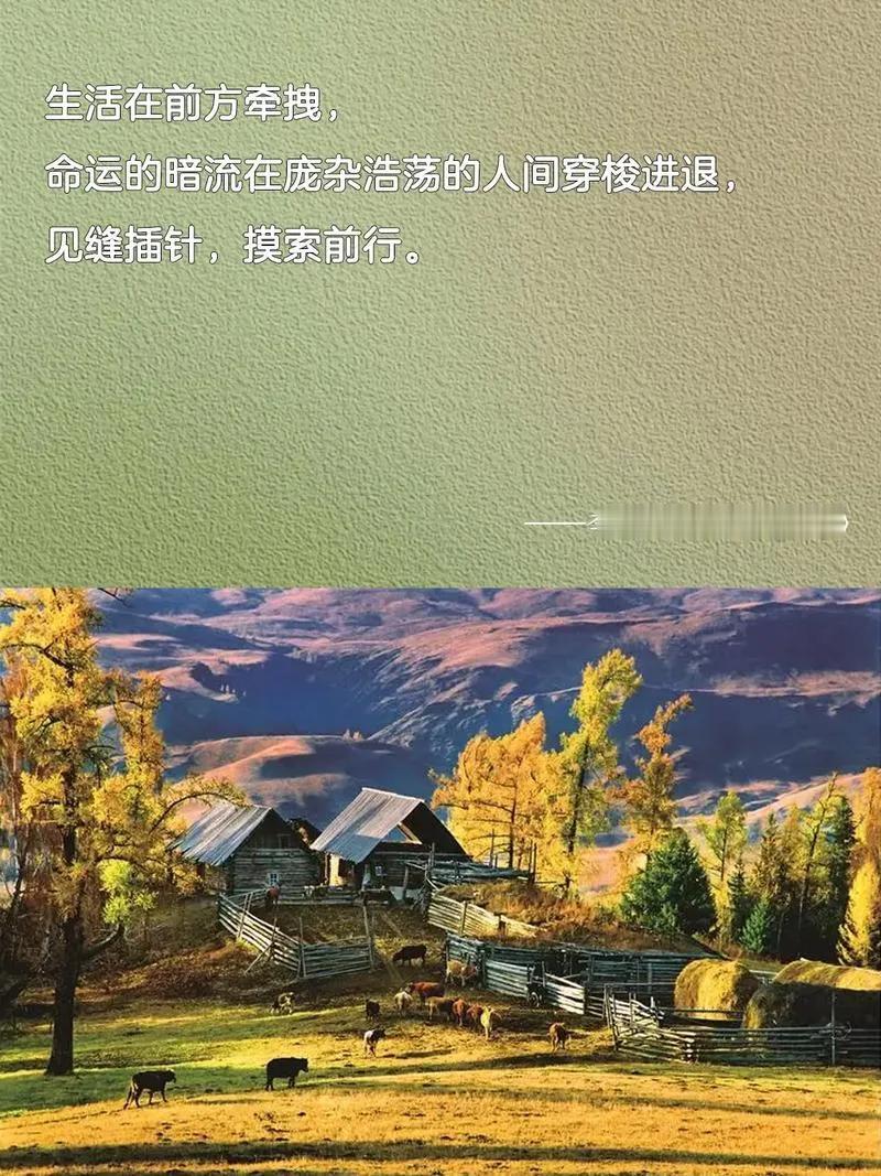 木秀于林，风必摧之。当李娟再次爆火，网上出现诋毁的声音了。诋毁之词，甚是奇怪，“