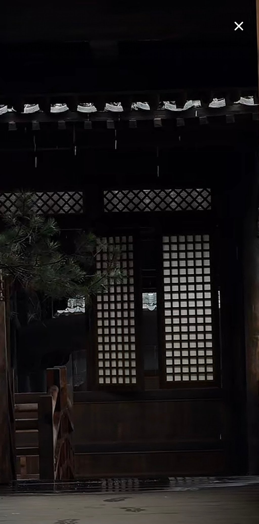 看直播说是没用过的置景诶，下雨了好有氛围～ 