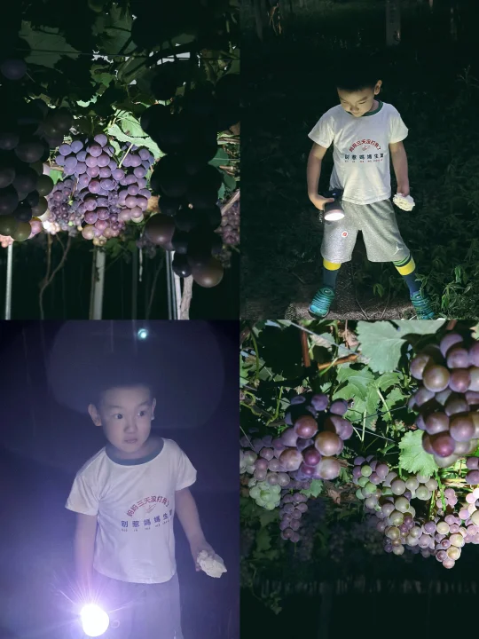 长沙 | 带娃儿夜闯葡萄园的快乐
