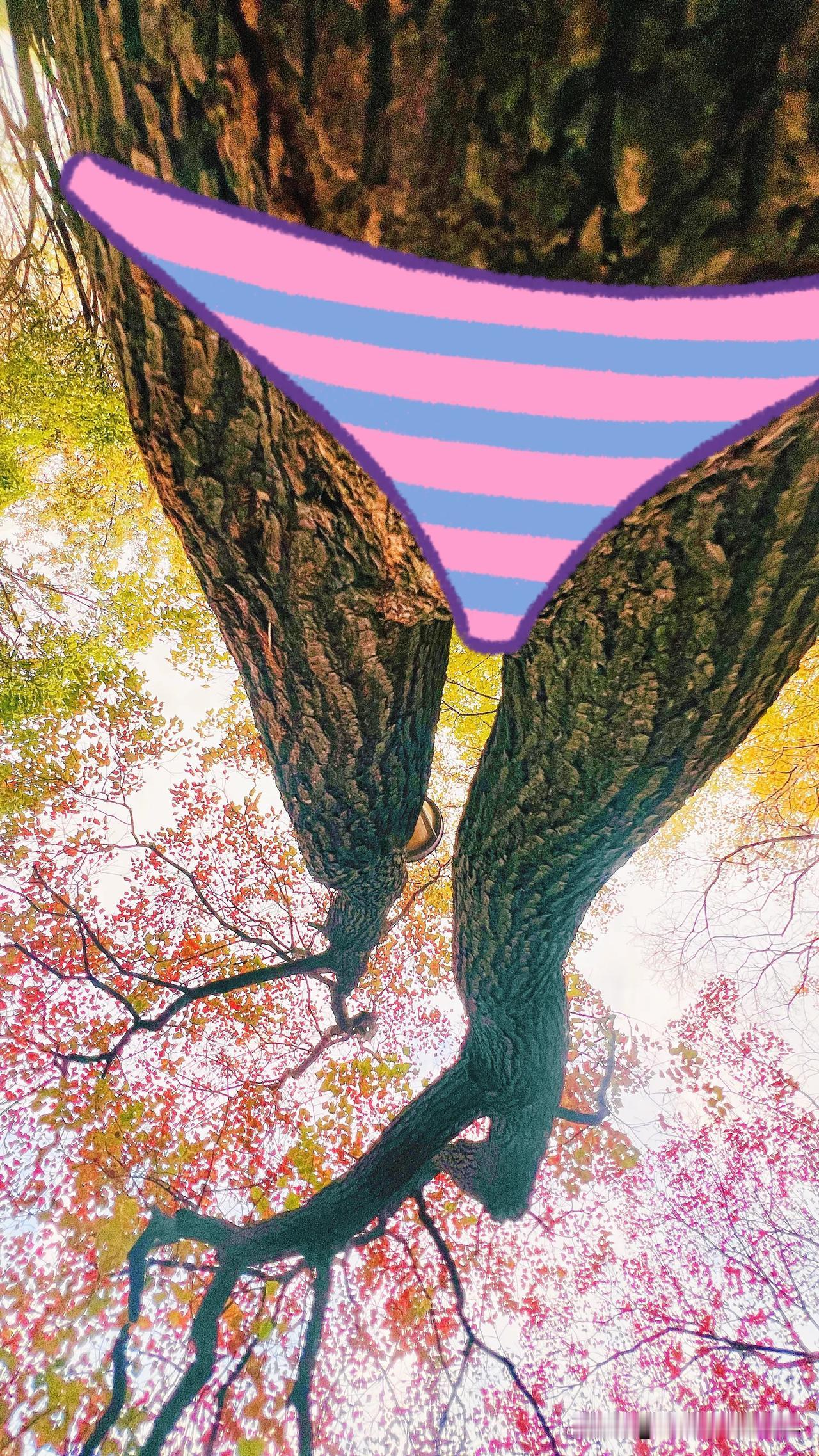 哈哈哈，昨天拍了一棵树挺有点儿意思，倒过来后穿个衣服如何