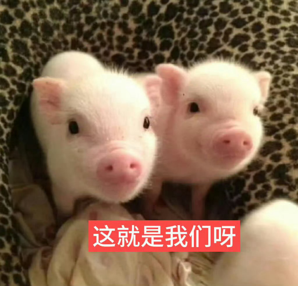 哎……你点赞我威逼了，是要交往的意思吗。真是的，什么时候结婚会比较好呢？ 