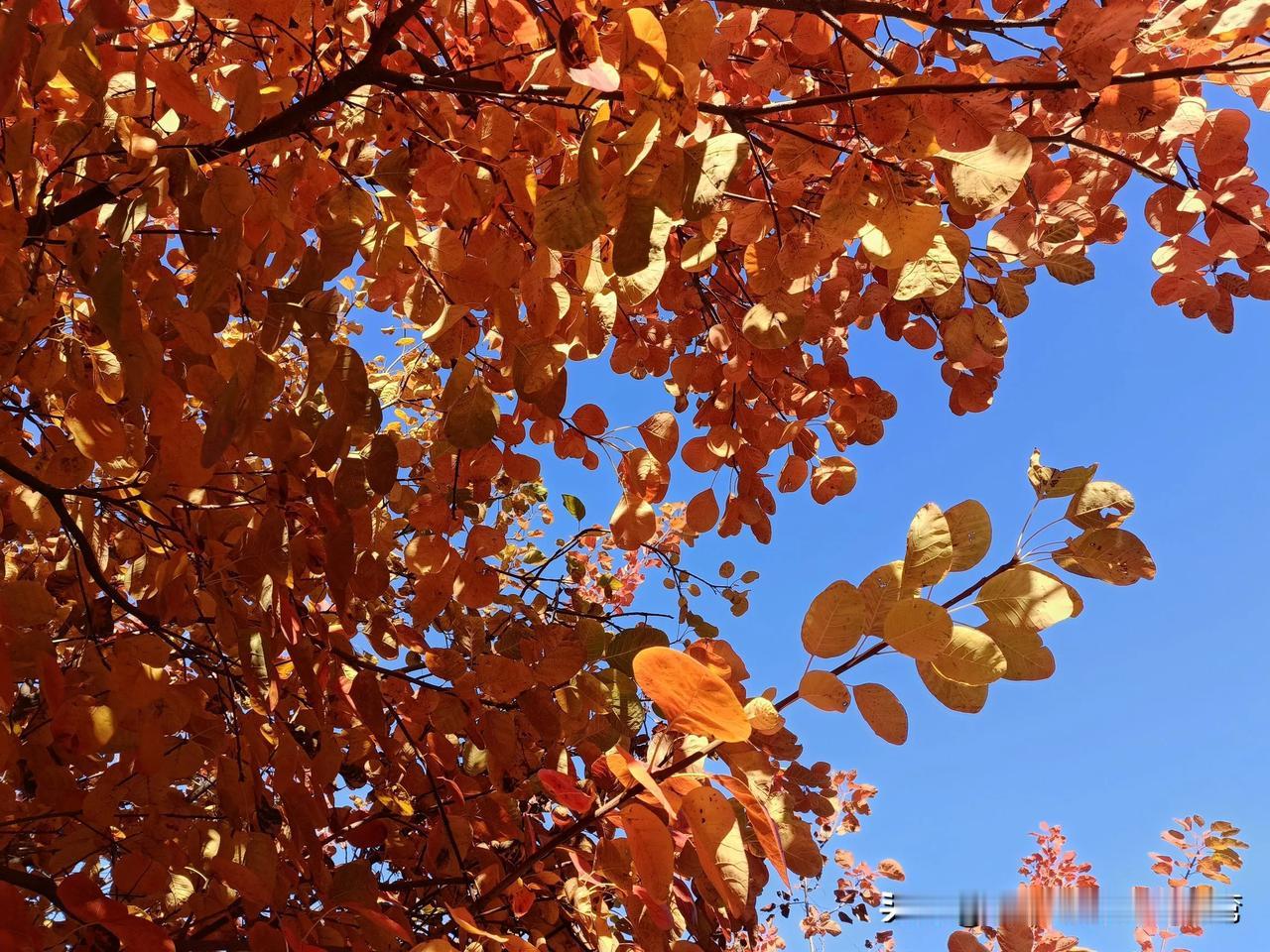 实话告诉你，
在单位，到了55岁一定按时退休。
因为55岁，
身体还有精力都大不