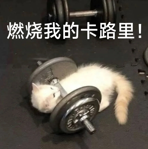 减肥太猛 显老 瘦得太快显老主要就是脸一下凹陷下去不适应，显脸垮，慢慢瘦下来会好