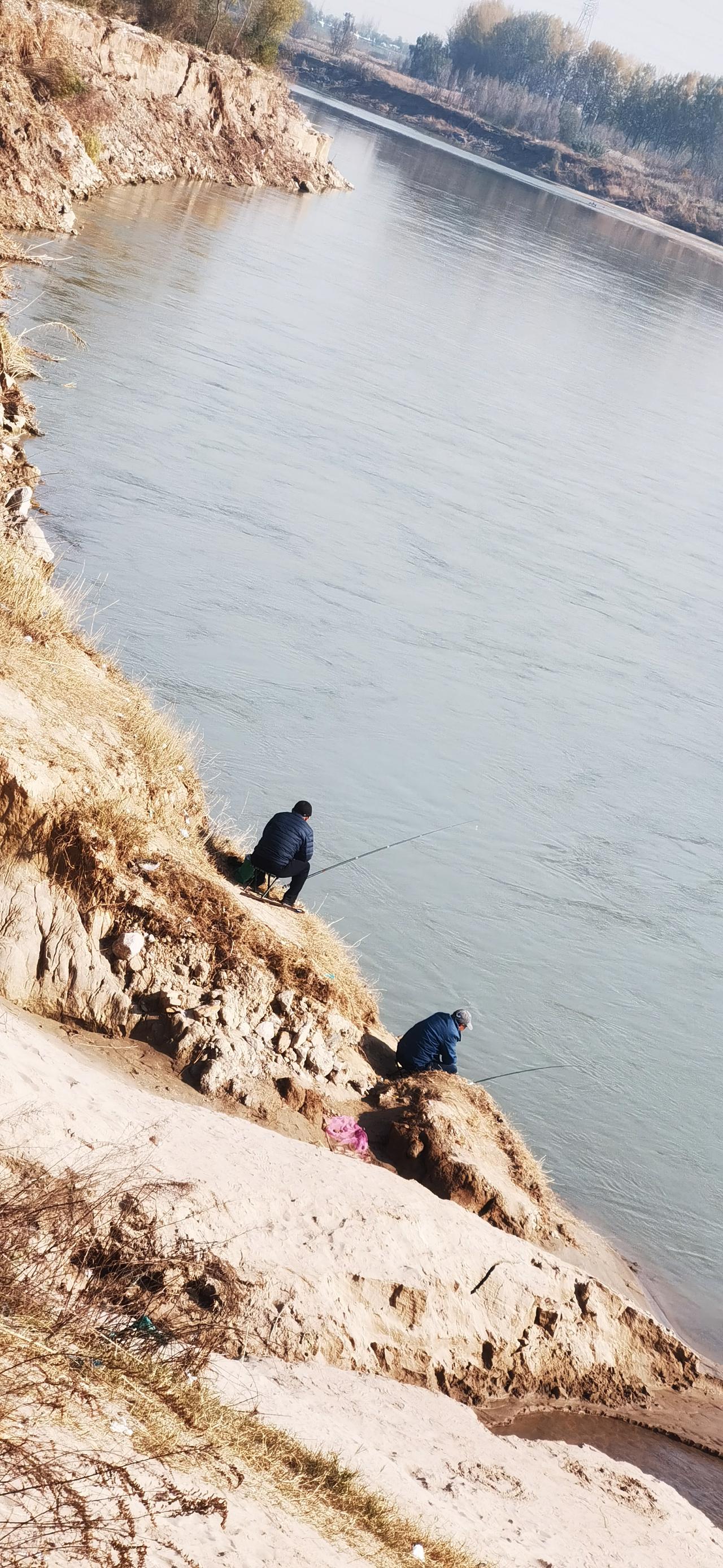写给今天的零零碎碎

初冬的那些时日，冬为了证明她的到来，让天阴沉着脸，太阳明晃