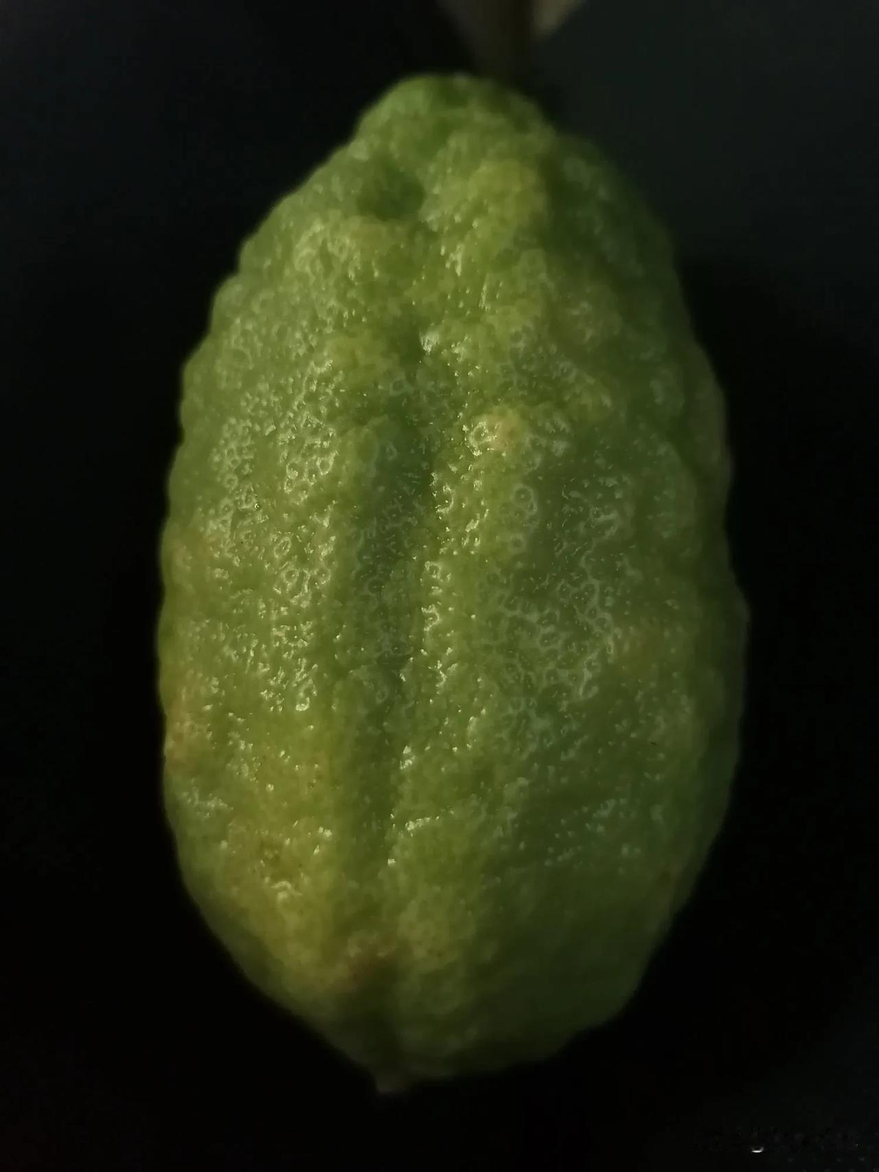 长成这个样子的西瓜，大家没有见过吧！这是西瓜出了轨，还是桔子辟了腿。#这水果会变