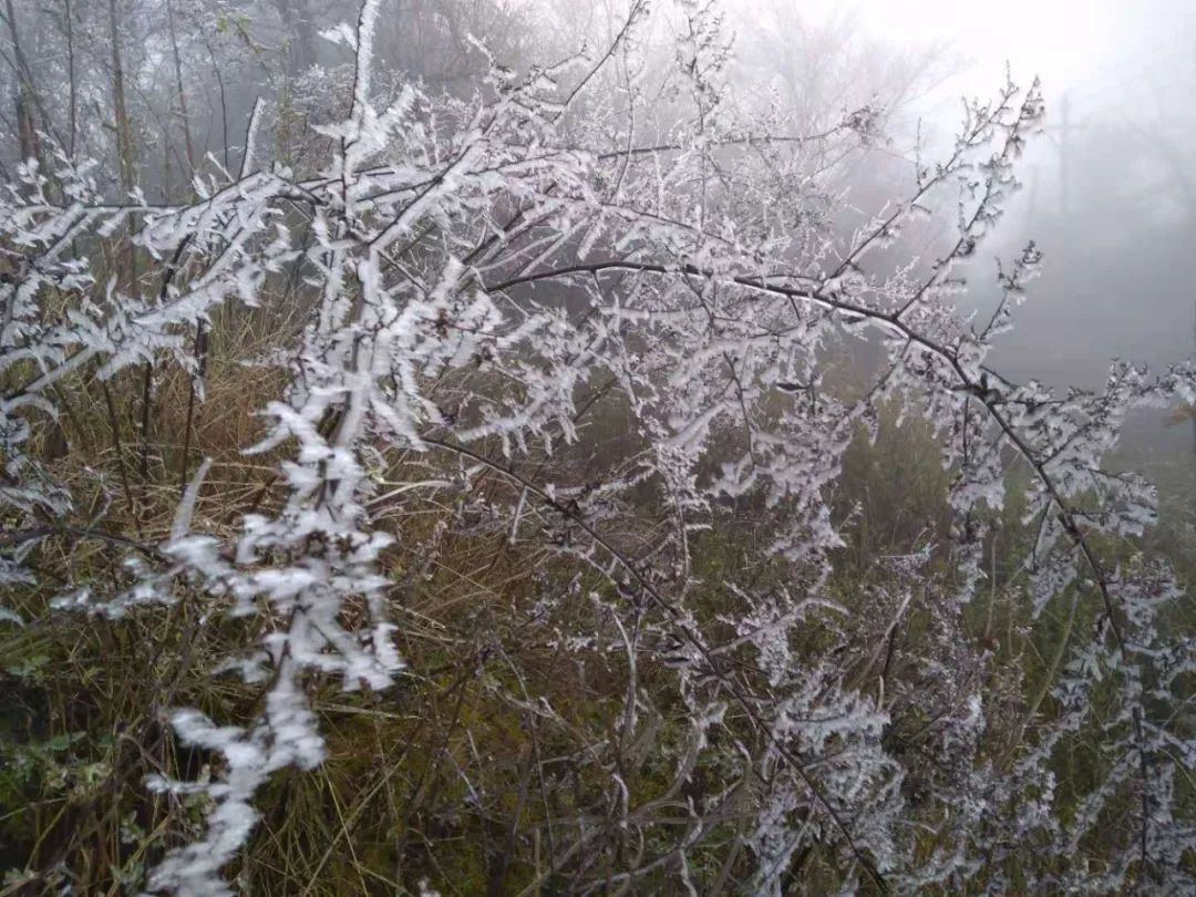 贵州:贵州这些地方已经冻起了!
