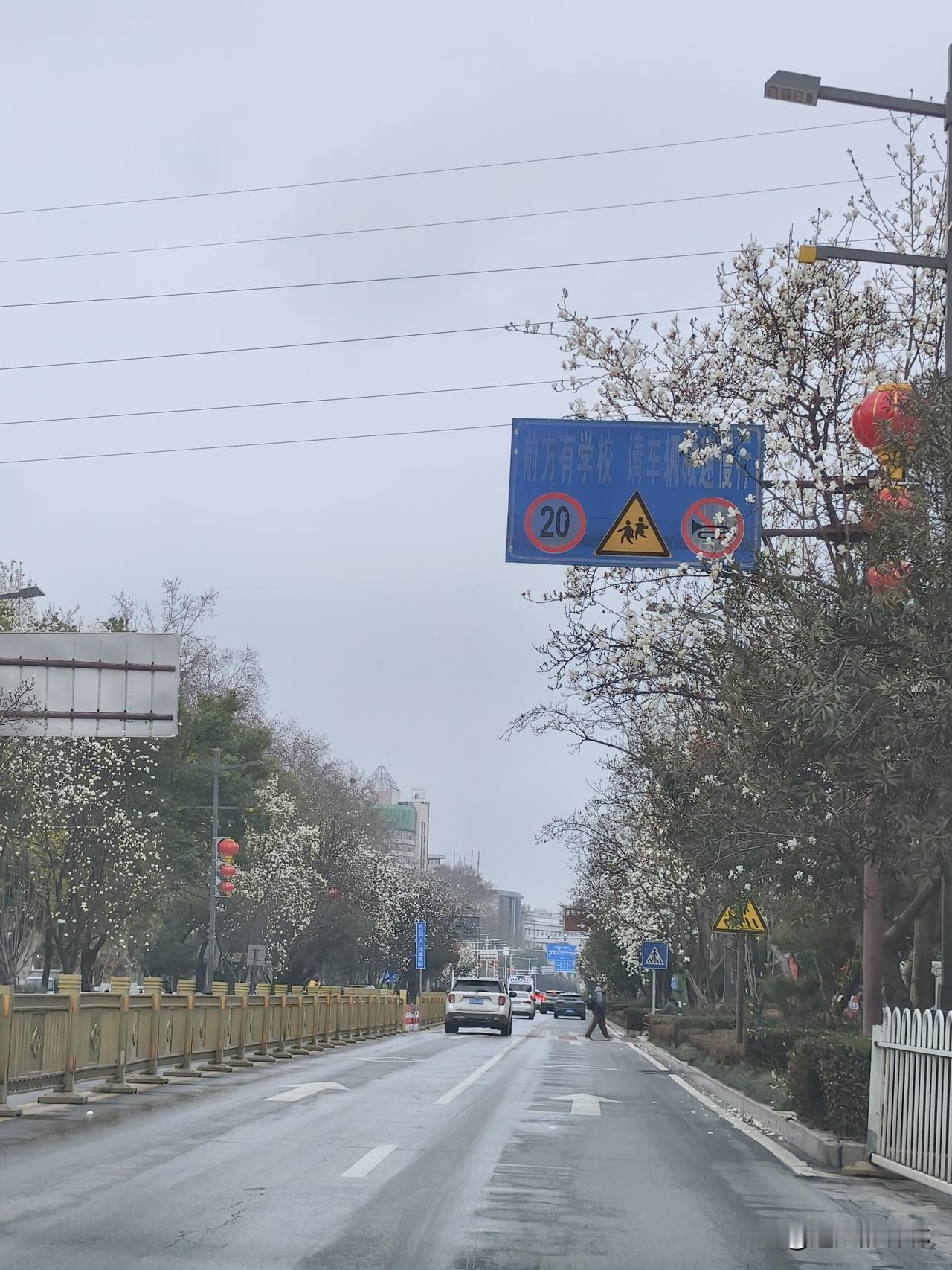 襄阳，被春天提前叫醒！
还未等到三月，春天便悄悄漫进了古城。
 
最先报春的，是