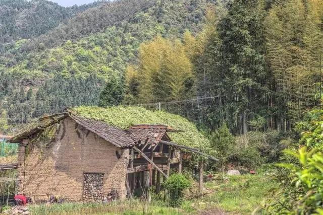 房子一定要有人住才行。空房子如果长期没人居住，失去了人气，就会迅速老化。

浙江