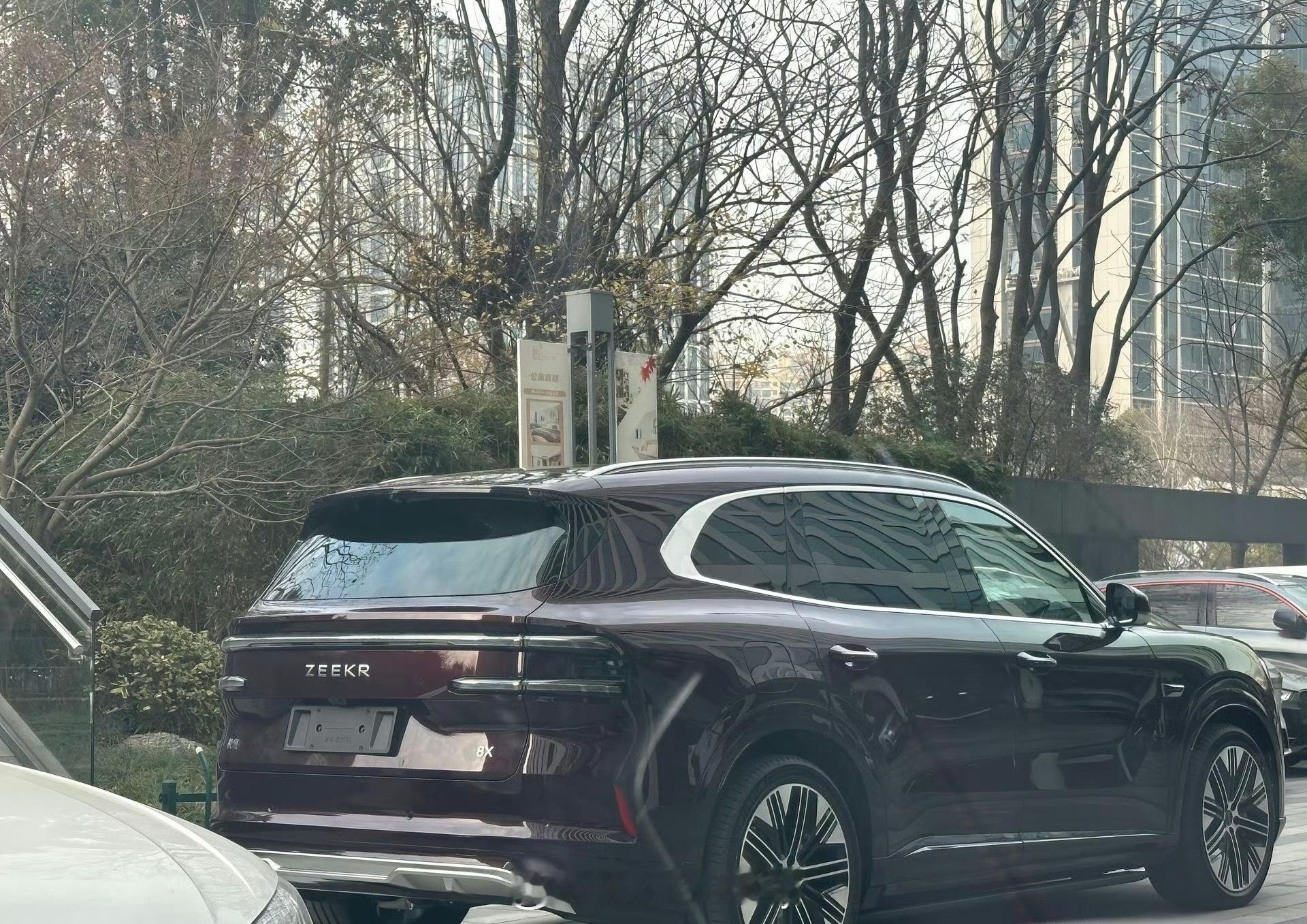 极氪8X 最新路透车窗写着4S营销车辆识别度还是挺高难道店里已经有车了？看到临牌