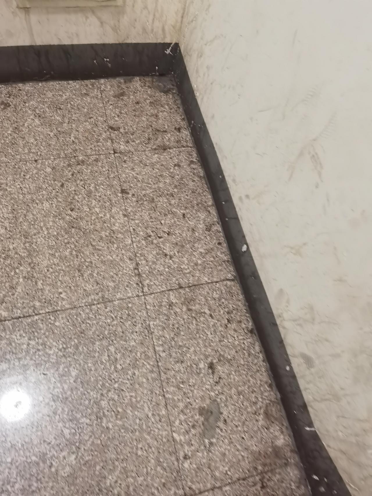 这家医院卫生状况让人头皮发紧 平时都去河北省医大一院或者省三院，很少去别的医院。