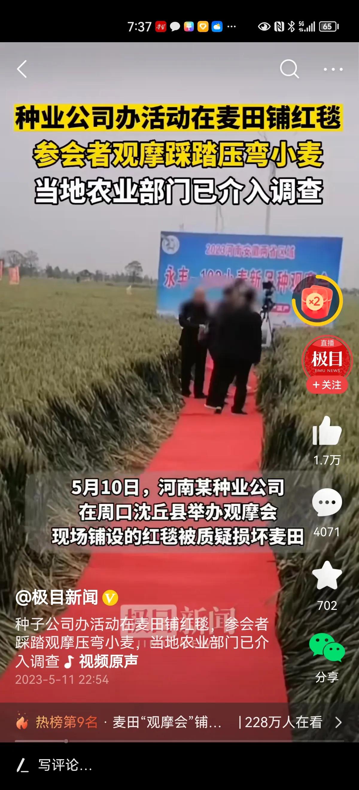 曹操马踏麦苗都要砍头，这些人该当何罪？

近日，河南某种业公司举办观摩会，在麦田