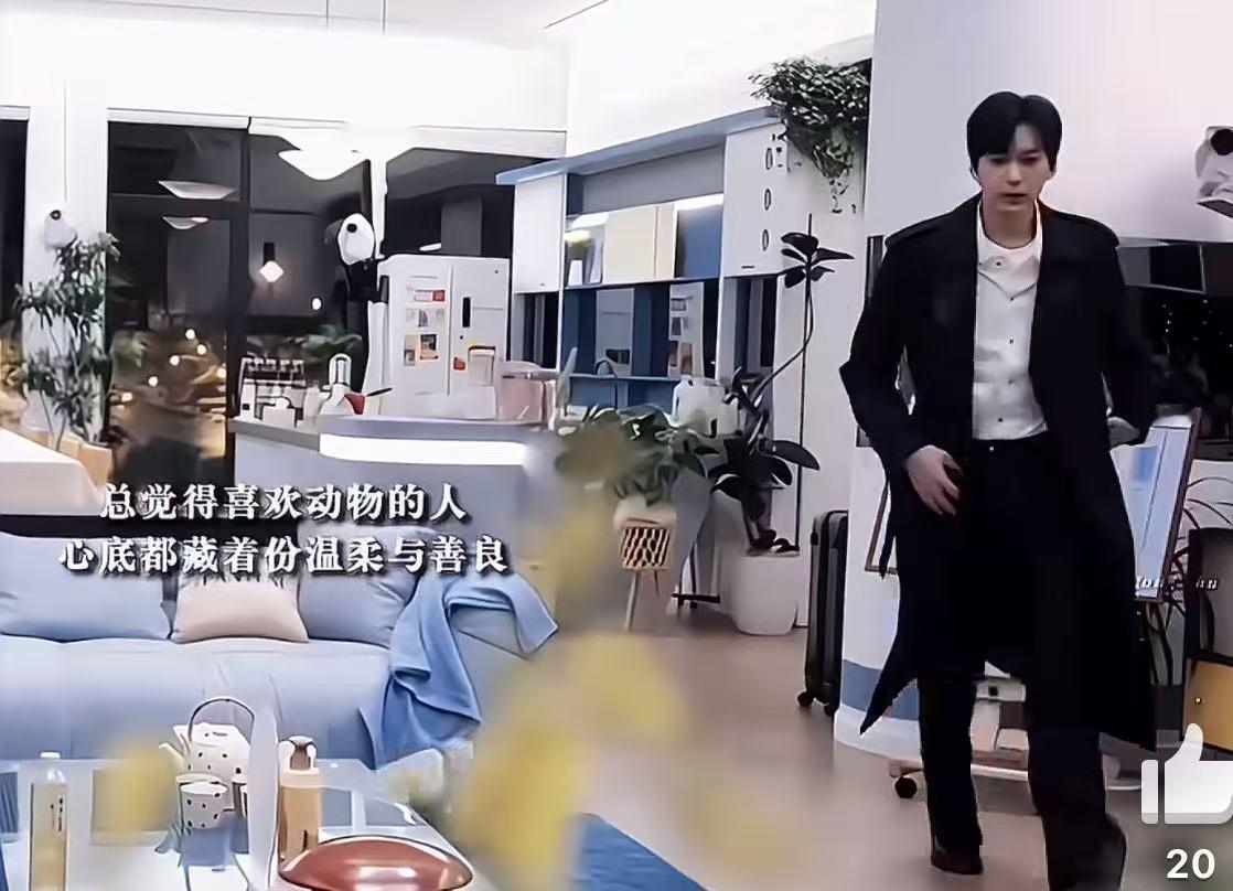 你们两个怎么张嘴说中文原本以为在收看浪漫韩剧，没想到是国产恋综实景，黑大衣抱狗出