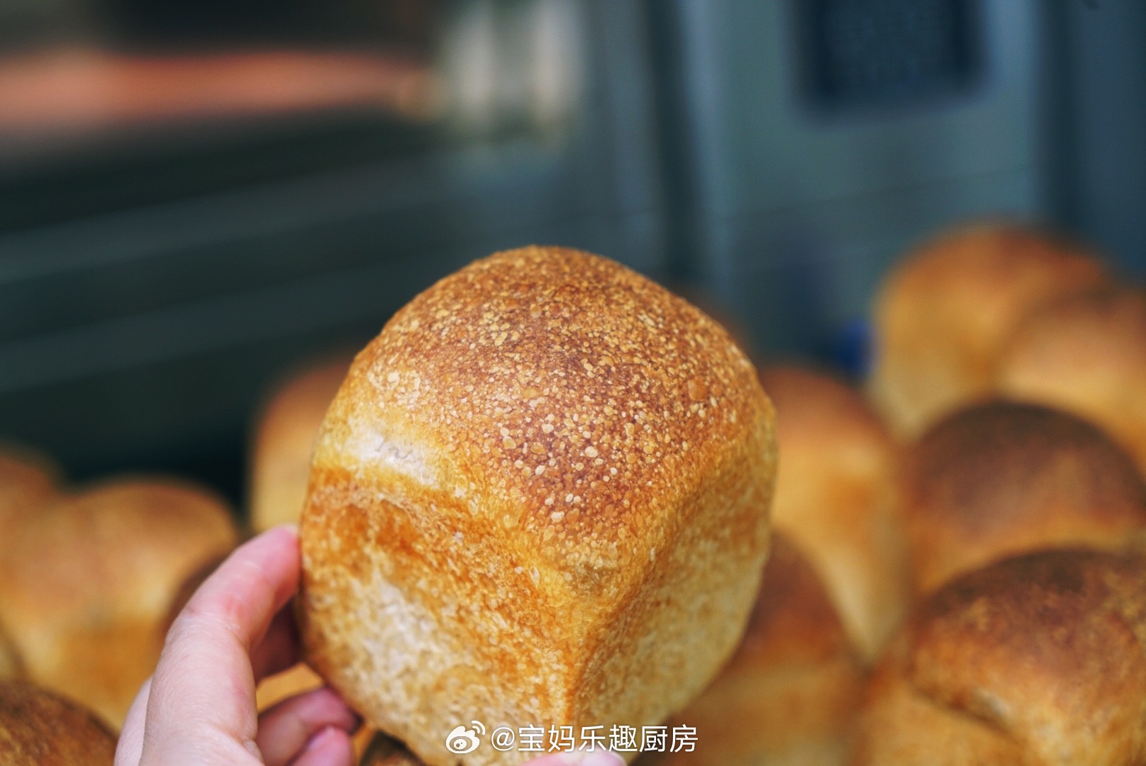 表皮酥脆  浓郁麦香低温长时间发酵面包本来的味道低卡 欧包【健身 达人 套 餐】