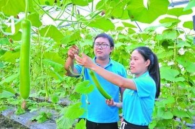 低分考生填报志愿要把握好6点：一是在名校的分校或校区选择适合自己的专业，二是在“