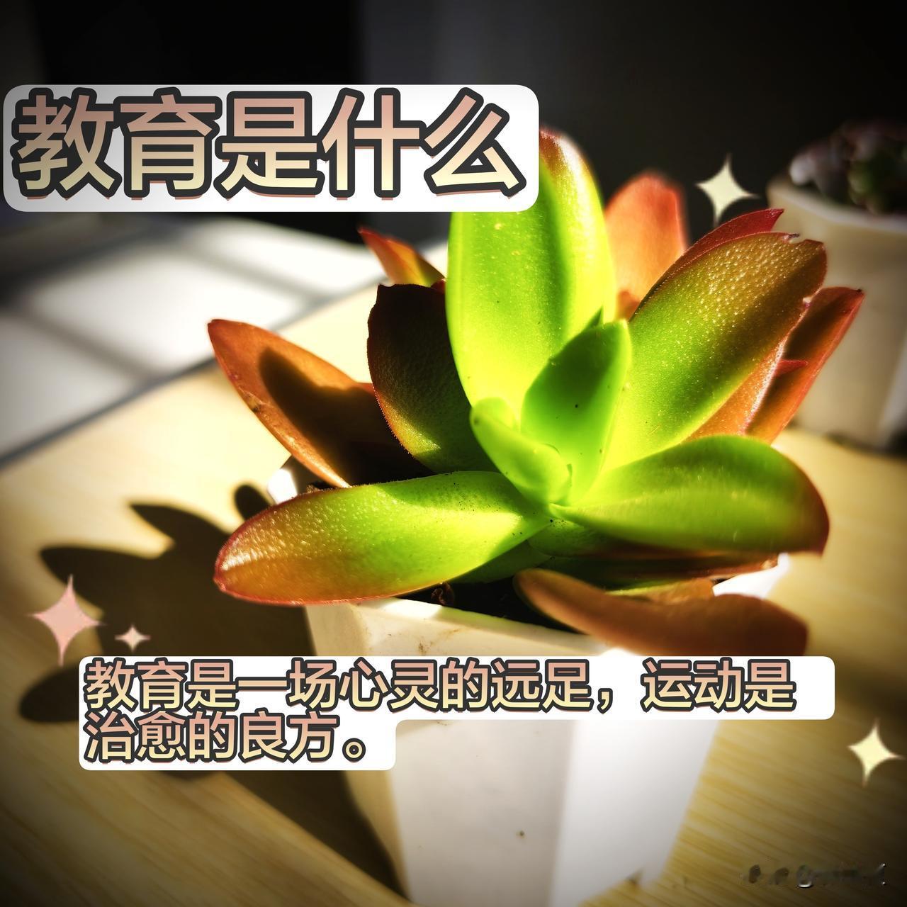 鼓励孩子去运动，去流汗，去奔跑，在运动中释放情绪。每日金句