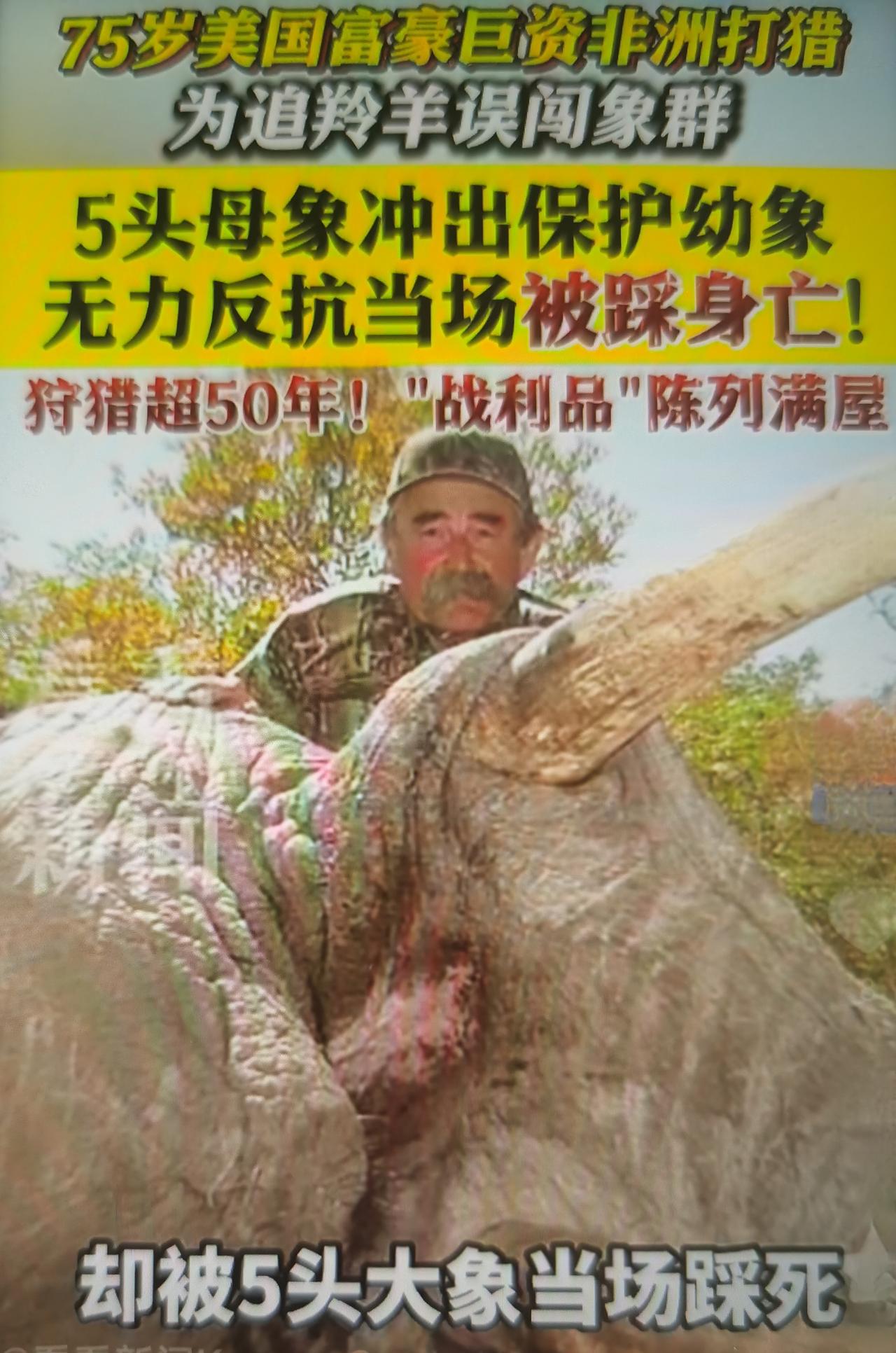 美国富豪厄尼·多西奥最近在非洲加蓬狩猎时，被5头护崽母象当场踩踏身亡的事件，既是