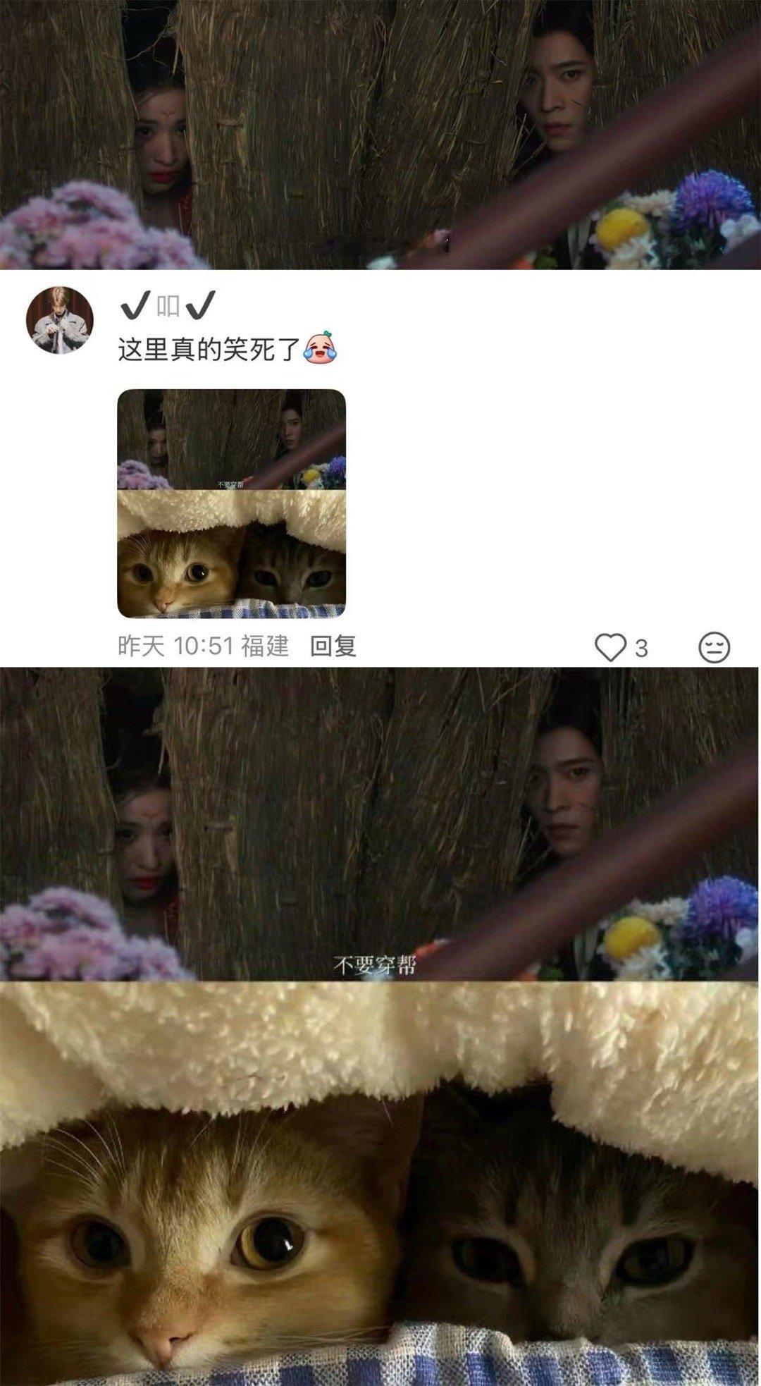 成何体统 本来打算囤完《成何体统》再看，结果刷到🍠评论区，直接被按头开追。到底