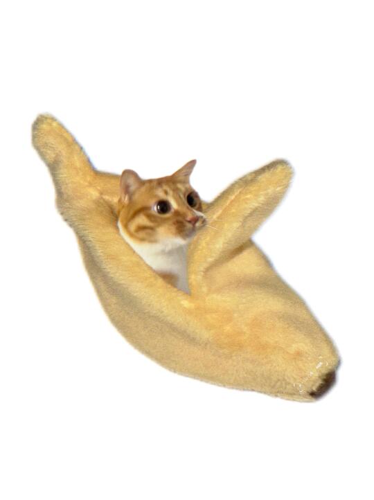 🍌🐱