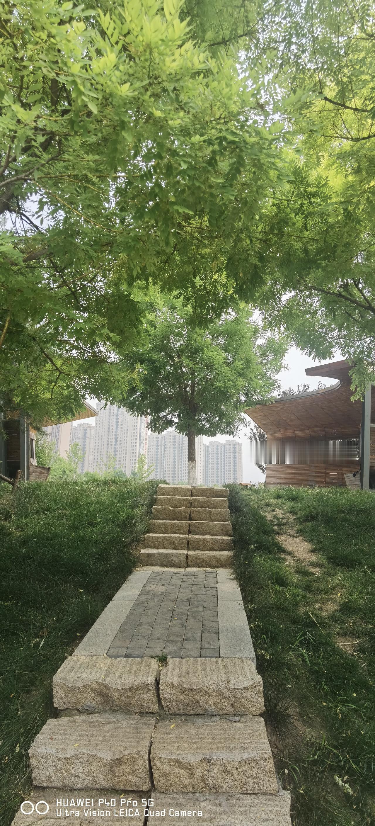 去体检中心做了个血常规检查，距离上次检查已经有半年的时间了，今天报告出来了，没有