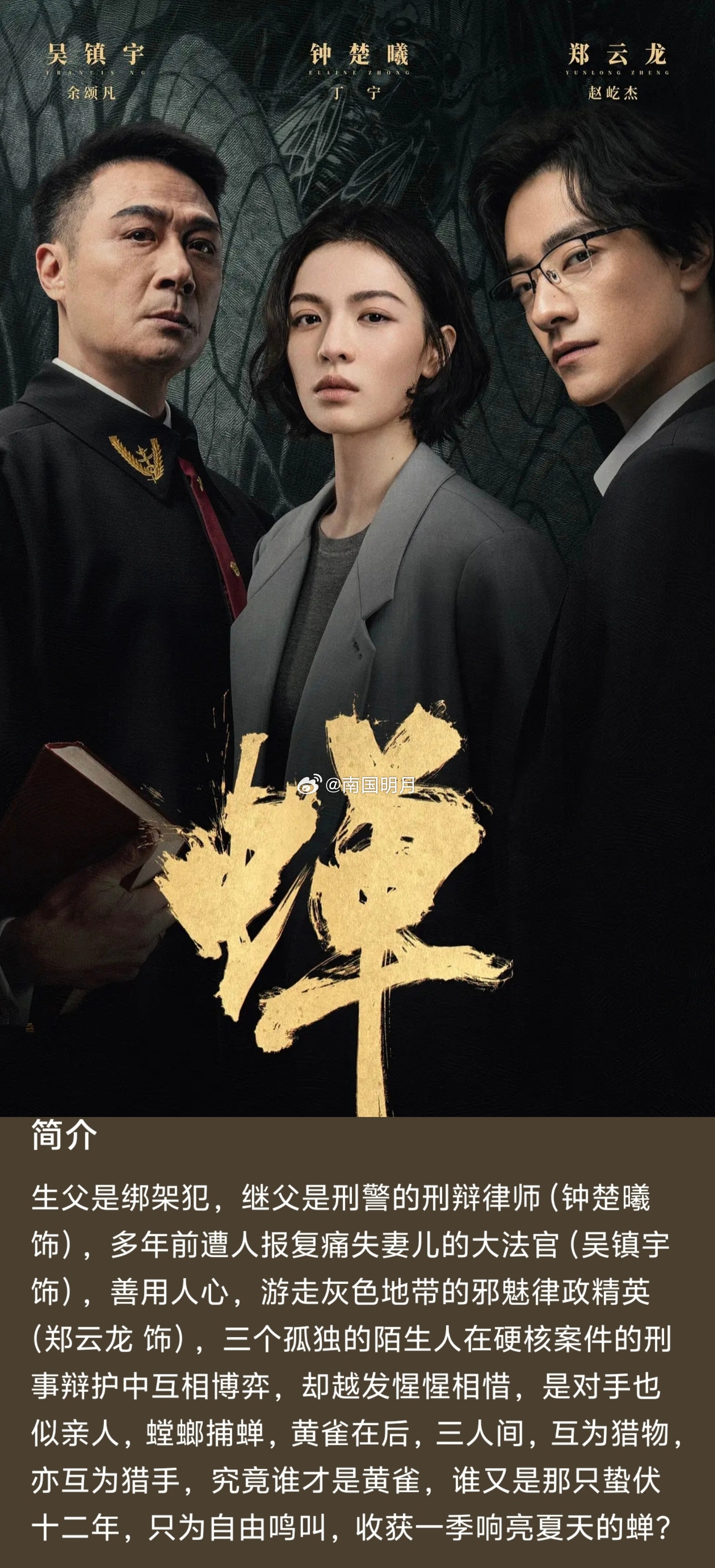 电视剧《蝉》播出时间：8月20日上星：浙江卫视主演：钟楚曦、郑云龙、吴镇宇 