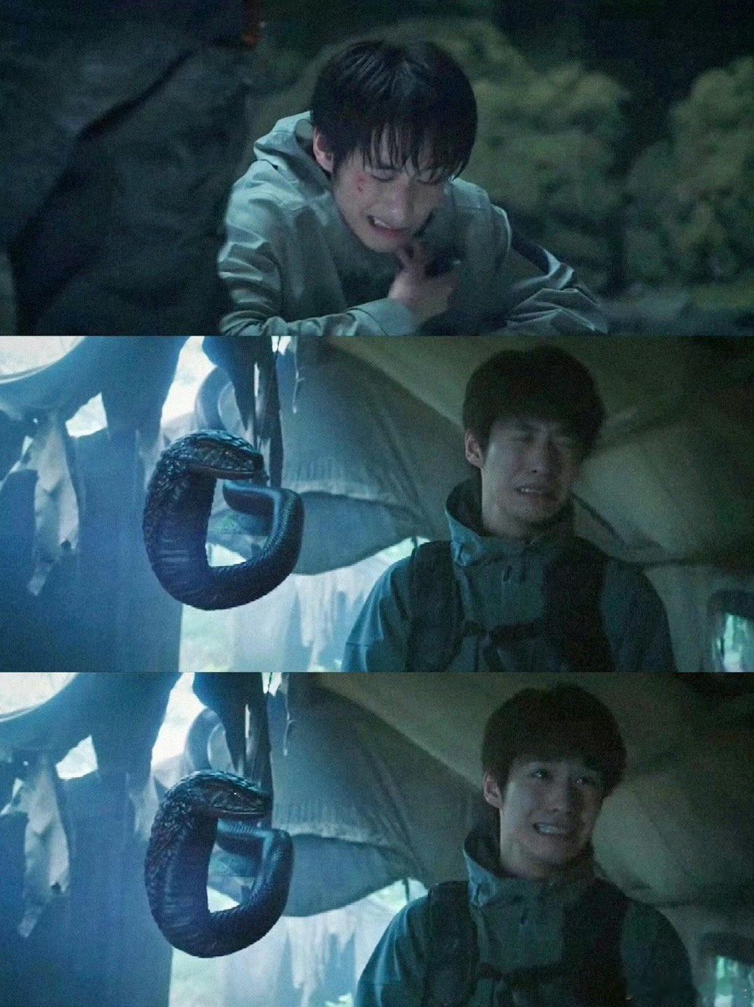 吴邪静如金毛动如比格人间狗勾精附体！吴邪双面切换萌炸盗笔宇宙，静能金毛眼无辜卖萌
