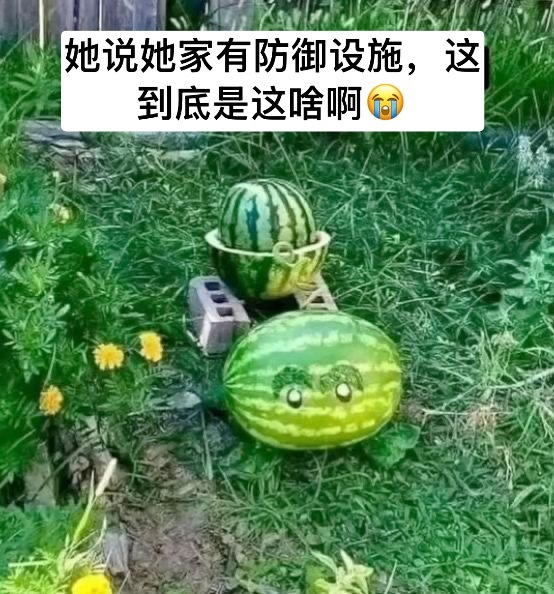 那很安全了meme ​​​