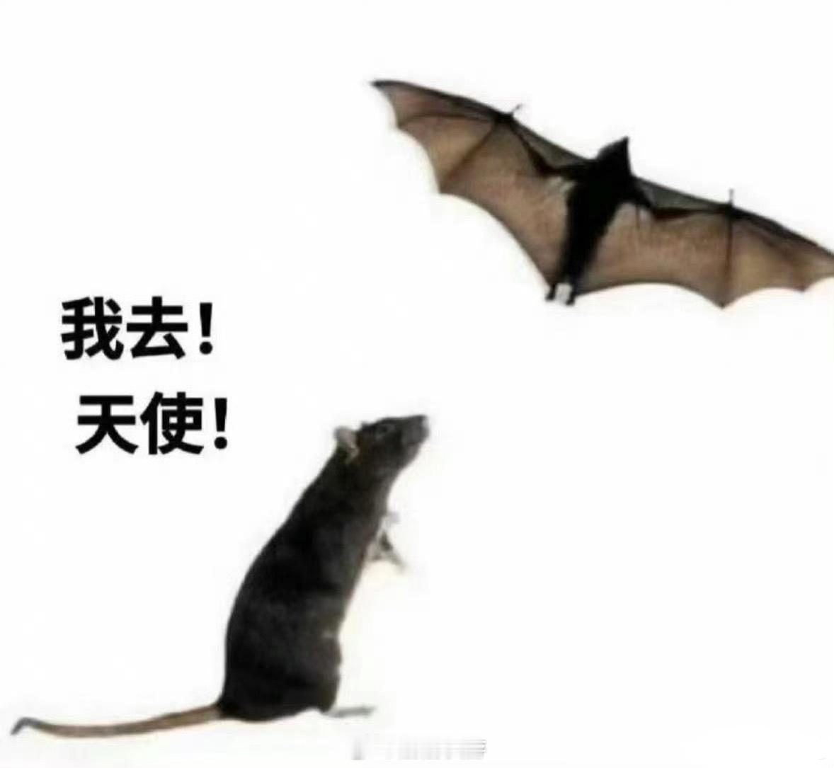 如果你知道有好心老芋泥原价出我尼心语还不收邮费你也会觉得我命好。 