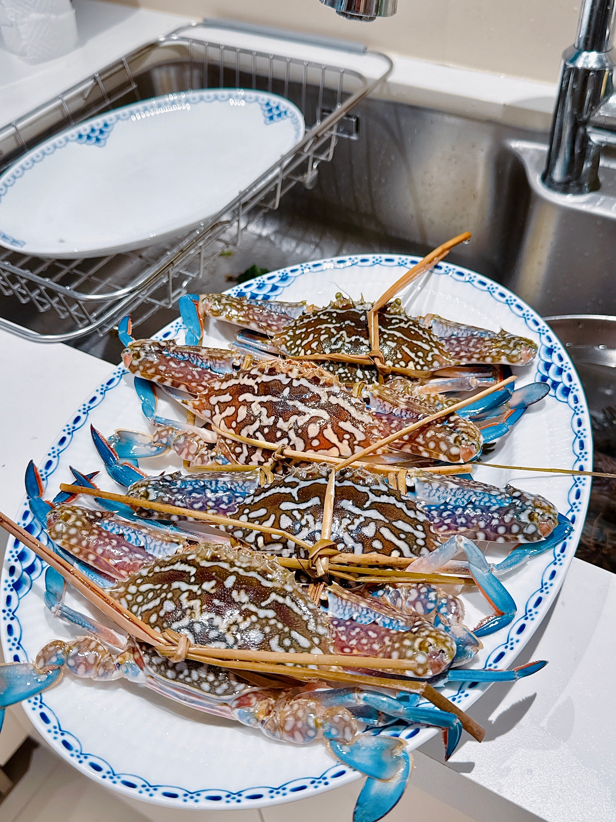 蒸兰花蟹 蒸斑节虾紫苏蒜香黄油焗花甲韭菜花炒卤牛腱猪油炒菠菜分享一下我家爱吃的泰