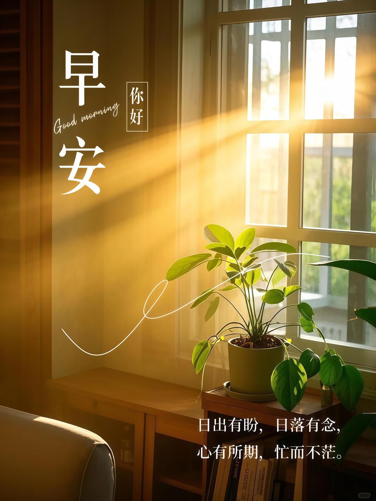 光渐盛，路渐宽，
掌心常握一抹暖阳，
眼底总盛满目星光。
日子慢慢向好，好运悄悄